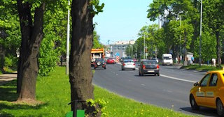 Посадка деревьев и кустарников в Кохме — стоимость от 1247 руб.